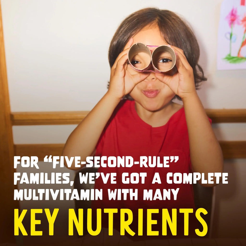 Flintstones Multivitamins for Kids, Sugar Free Kids Multivitamin Gummies, with Vitamins A, C, E, B6 & B12, Raspberry Flavored Gummy Vitamins, 60 Count Flintstones Vitamins