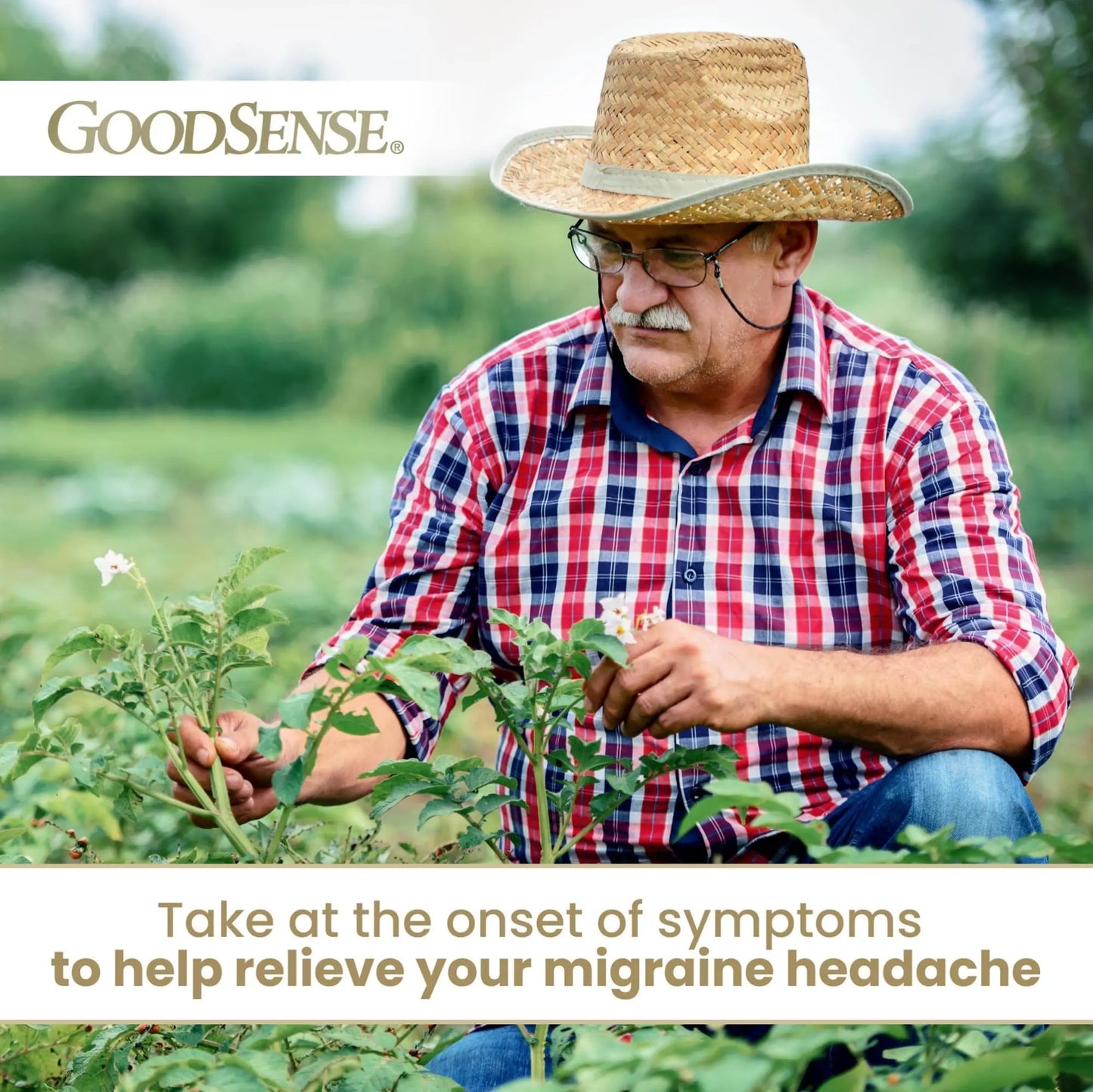 GoodSense Migraine Relief Geltabs, Acetaminophen, Aspirin (NSAID) and Caffeine, 80 Count GoodSenseBuy Supplements Australia