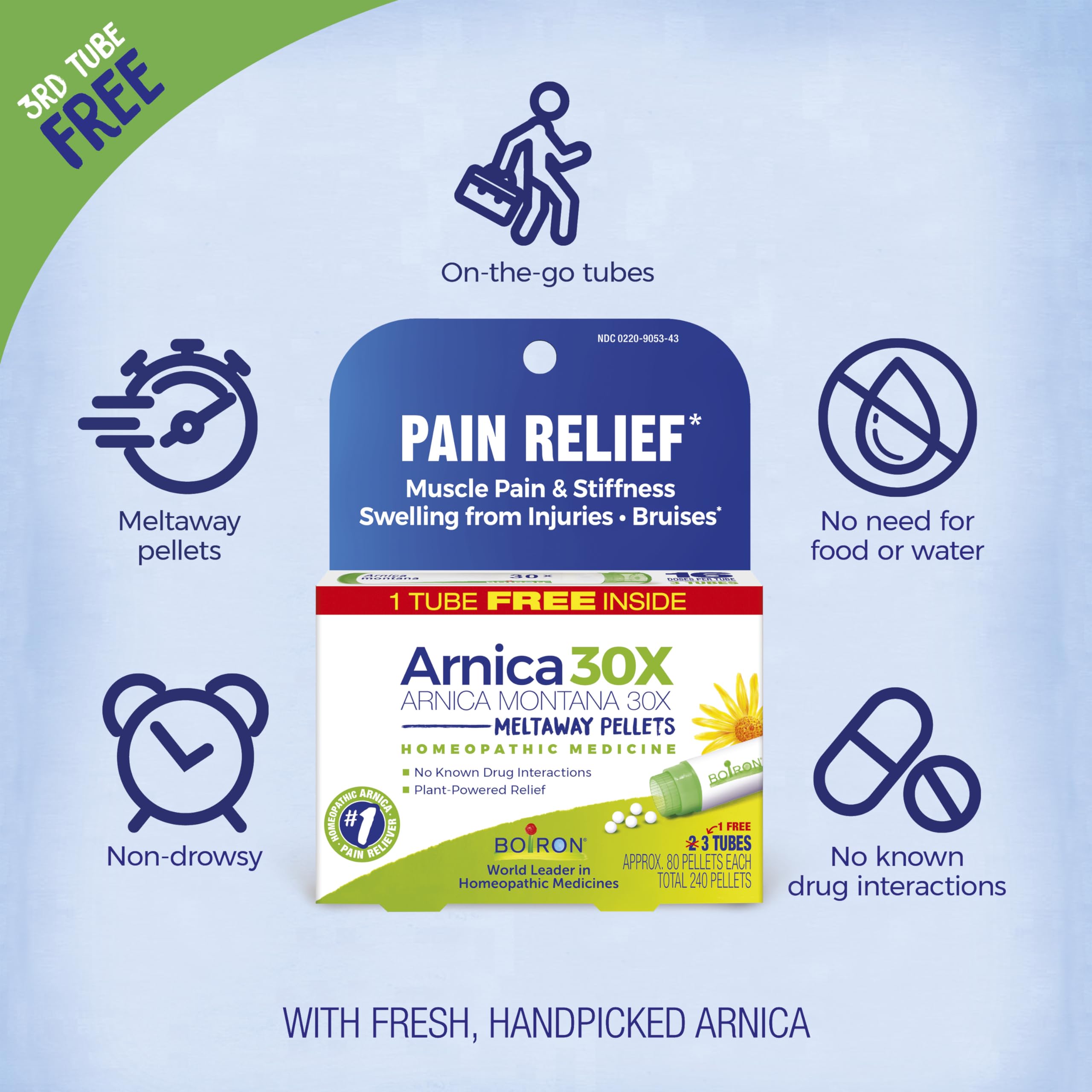 Boiron Arnica Montana 30X Homeopathic Medicine for Relief from Muscle Pain, Muscle Stiffness, Swelling from Injury, and Discoloration from Bruises - 3 Count (240 Pellets) BoironBuy Supplements Australia