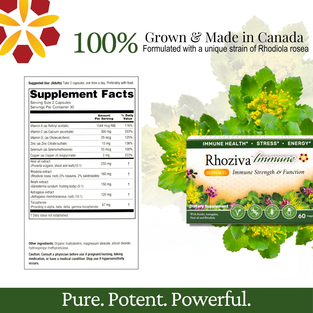 Immune Support, Energy Booster with Vitamin C, D3 and Zinc Supplement, Rhodiola Rosea, Reishi Mushroom Extract, Astragalus, Overall Wellness and Daily Habit - 60 Capsules Rhoziva buy supplements Au