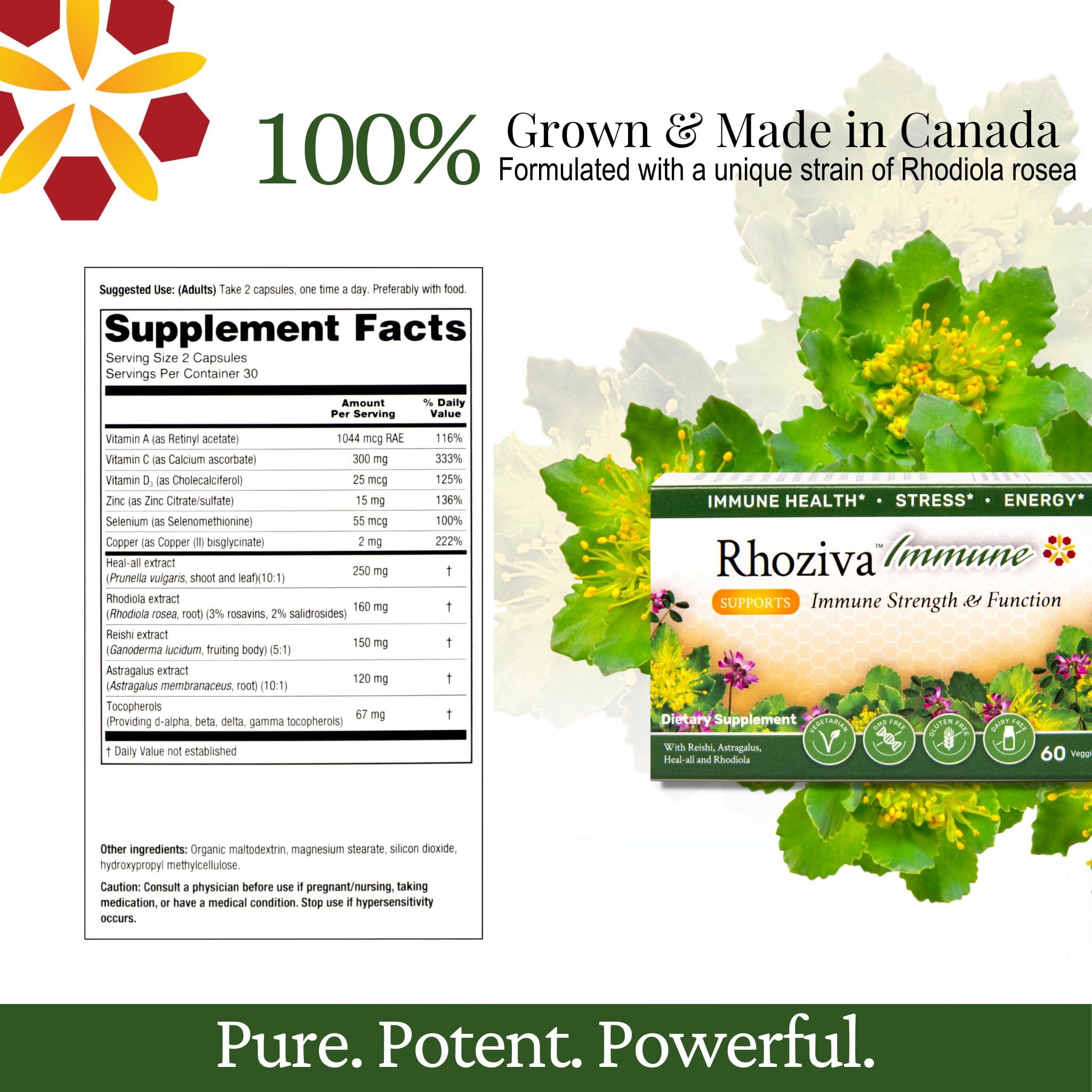Immune Support, Energy Booster with Vitamin C, D3 and Zinc Supplement, Rhodiola Rosea, Reishi Mushroom Extract, Astragalus, Overall Wellness and Daily Habit - 60 Capsules Rhoziva buy supplements Au