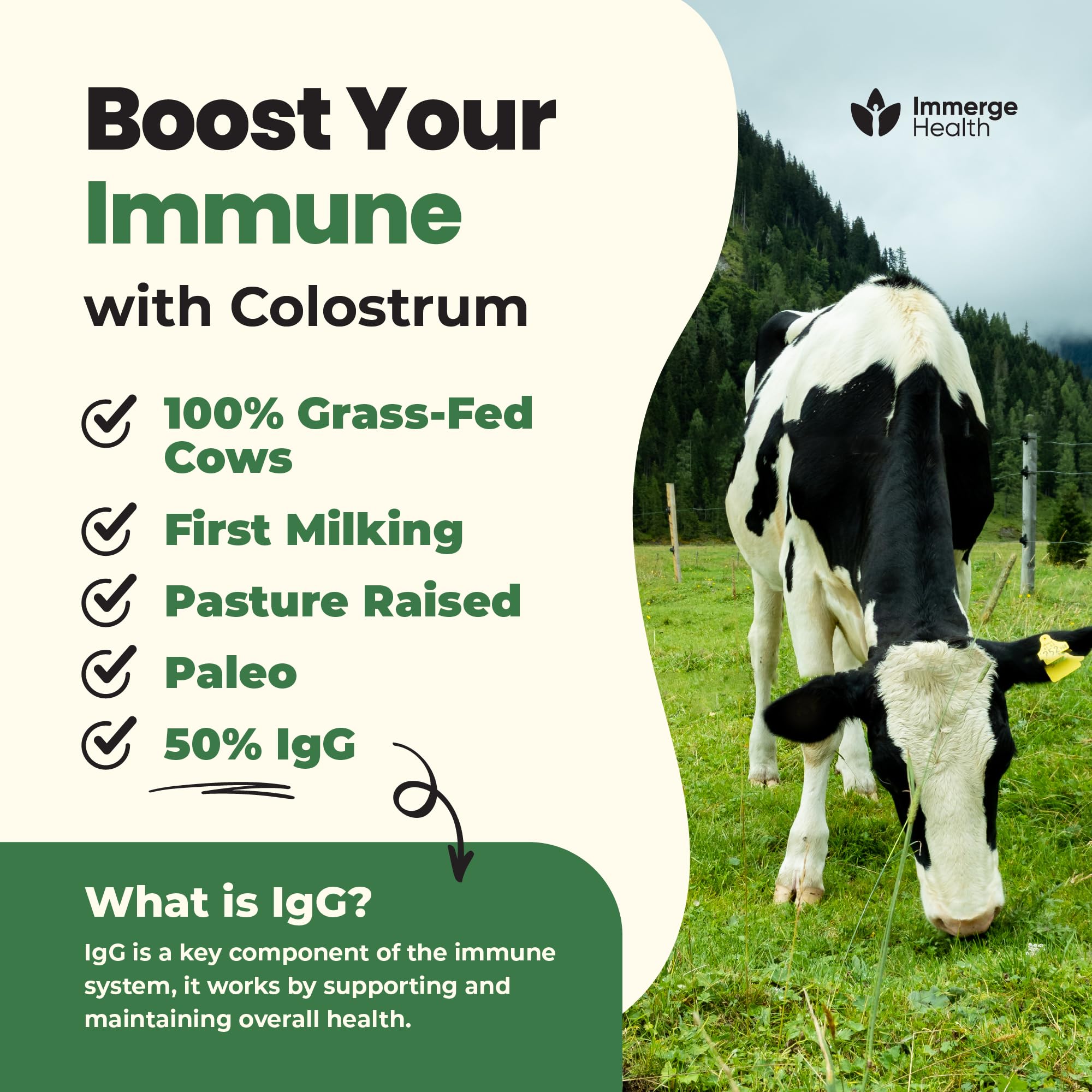 Immerge Health Super Colostrum Powder (60 Servings) – Premium Bovine Colostrum Supplement for Gut Health, Bloating & Immune Support – High IgG, 100% Grass Fed First Milking, Unflavored, Made in USA ImmergeHealth.comBuy Supplements Australia
