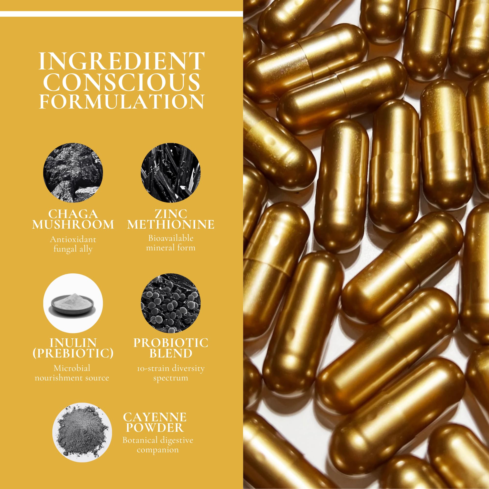 ed&i Gut Within Prebiotic & Probiotic Supplement - Digestive Probiotics for Women, Probiotics for Women Bloating, Digestive Support, Women’s Gut Health