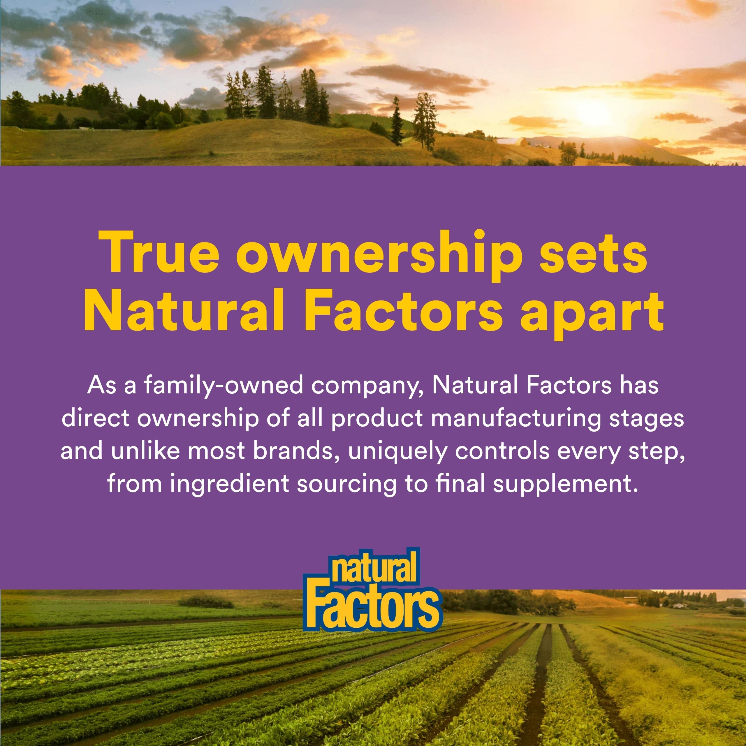 Natural Factors Pharma GABA - Dietary Supplement Supports Calm Sleep & Sleep Quality - Natural, Fast-Working Supplement Aids Focus & Brain Health - 60 Chewable Tablets (60 Servings) Natural Factors buy supplements Au