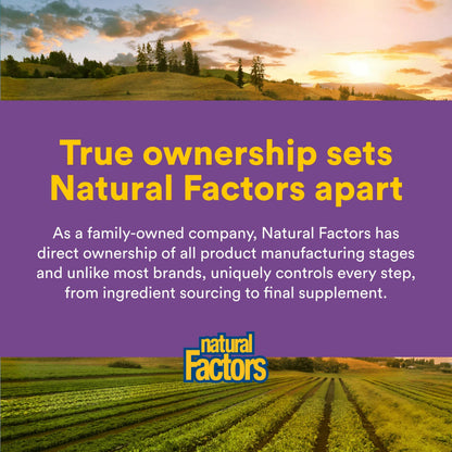 Natural Factors Pharma GABA - Dietary Supplement Supports Calm Sleep & Sleep Quality - Natural, Fast-Working Supplement Aids Focus & Brain Health - 60 Chewable Tablets (60 Servings) Natural Factors buy supplements Au