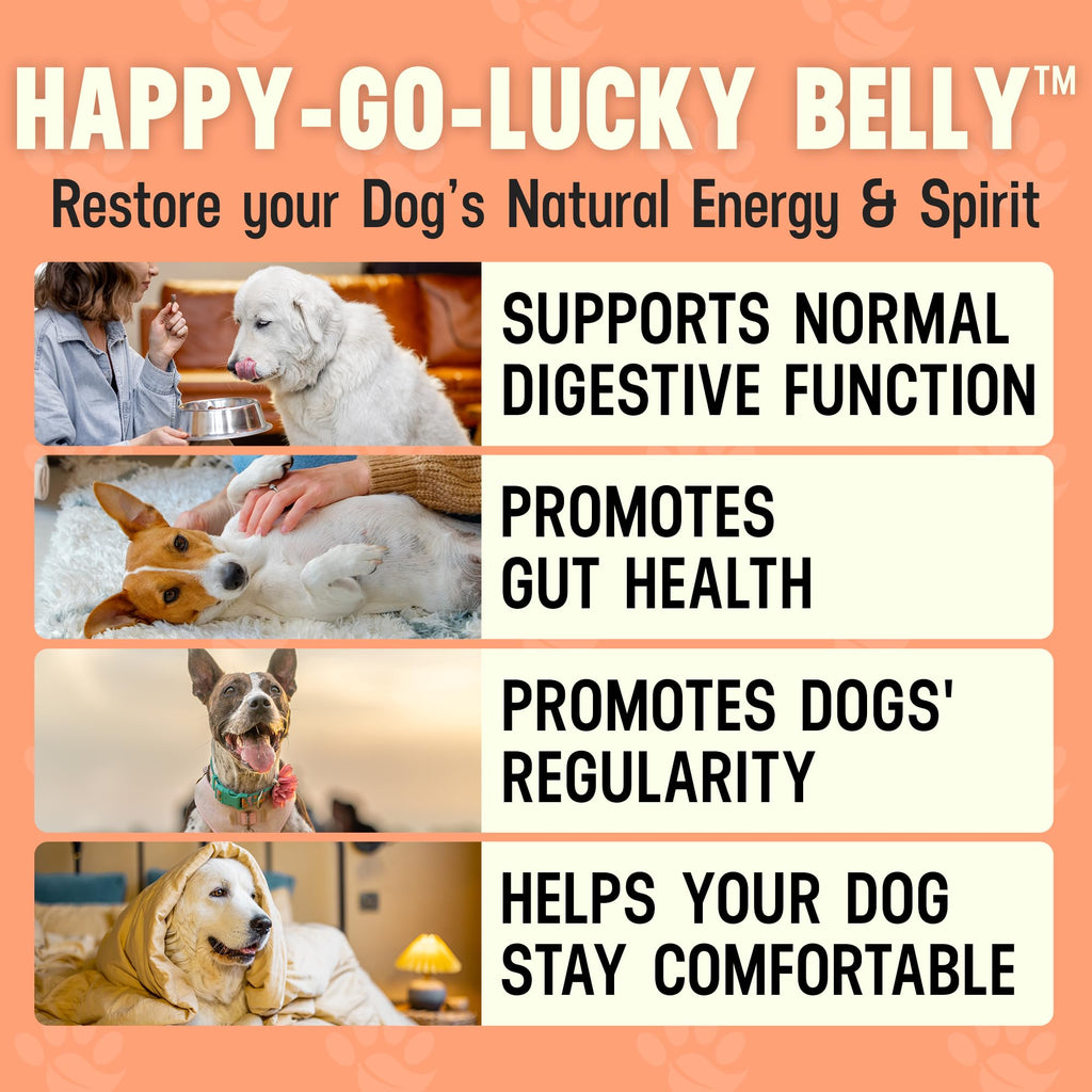 Better Dog Supplements Happy-Go-Lucky Belly by Cesar Millan - Natural Dog Digestive Support Powder – Dog Constipation Relief, Gut Balance & Regularity with Herbal Fiber for Dogs – 4oz (60-Day Supply) Better Dog Supplements By Cesar Millan buy supplements Au