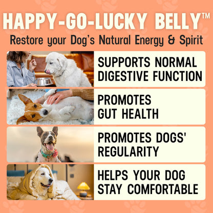 Better Dog Supplements Happy-Go-Lucky Belly by Cesar Millan - Natural Dog Digestive Support Powder – Dog Constipation Relief, Gut Balance & Regularity with Herbal Fiber for Dogs – 4oz (60-Day Supply) Better Dog Supplements By Cesar Millan buy supplements Au