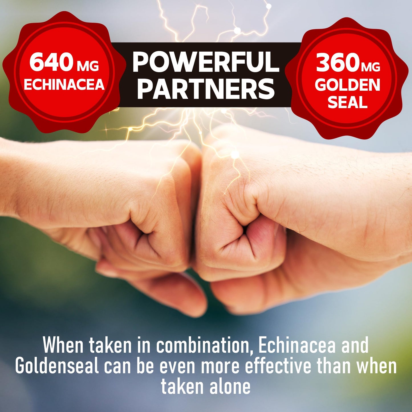 DEDICAD 1000mg Echinacea Goldenseal Capsules - Support Immune System, Well-Being & Overal Health - 60 Veggie Capsules - Non-GMO, Gluten-Free DEDICAD buy supplements Au