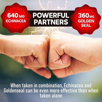DEDICAD 1000mg Echinacea Goldenseal Capsules - Support Immune System, Well-Being & Overal Health - 60 Veggie Capsules - Non-GMO, Gluten-Free DEDICAD buy supplements Au