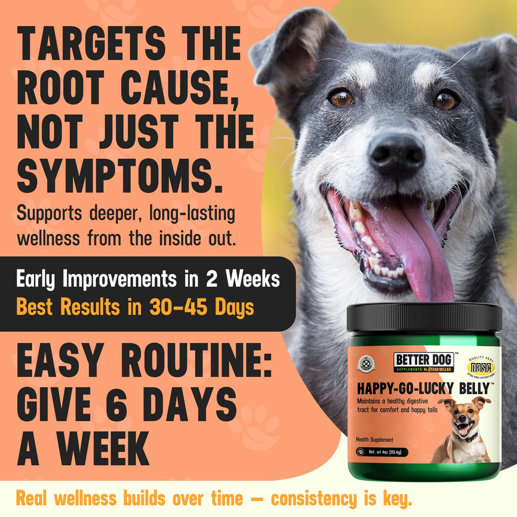 Better Dog Supplements Happy-Go-Lucky Belly by Cesar Millan - Natural Dog Digestive Support Powder – Dog Constipation Relief, Gut Balance & Regularity with Herbal Fiber for Dogs – 4oz (60-Day Supply) Better Dog Supplements By Cesar Millan buy supplements Au