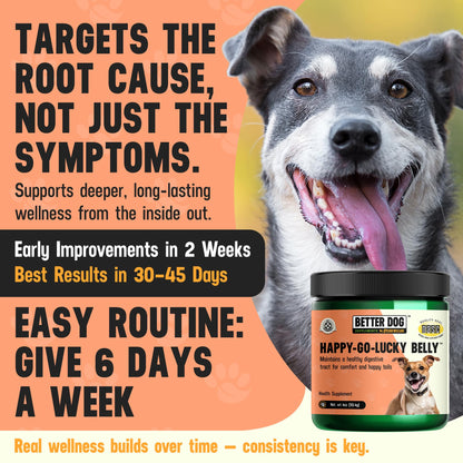 Better Dog Supplements Happy-Go-Lucky Belly by Cesar Millan - Natural Dog Digestive Support Powder – Dog Constipation Relief, Gut Balance & Regularity with Herbal Fiber for Dogs – 4oz (60-Day Supply) Better Dog Supplements By Cesar Millan buy supplements Au