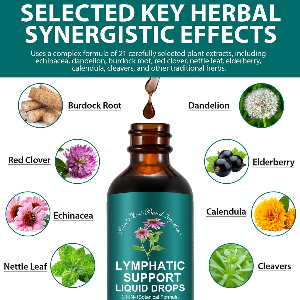 Lymphatic Drainage Drops | 21-in-1 Lymph System Support Supplement | Lymph Cleanse with Turmeric, Echinacea, Elderberry & Dandelion | for Women & Men, 2 fl oz Daiasns buy supplements Au