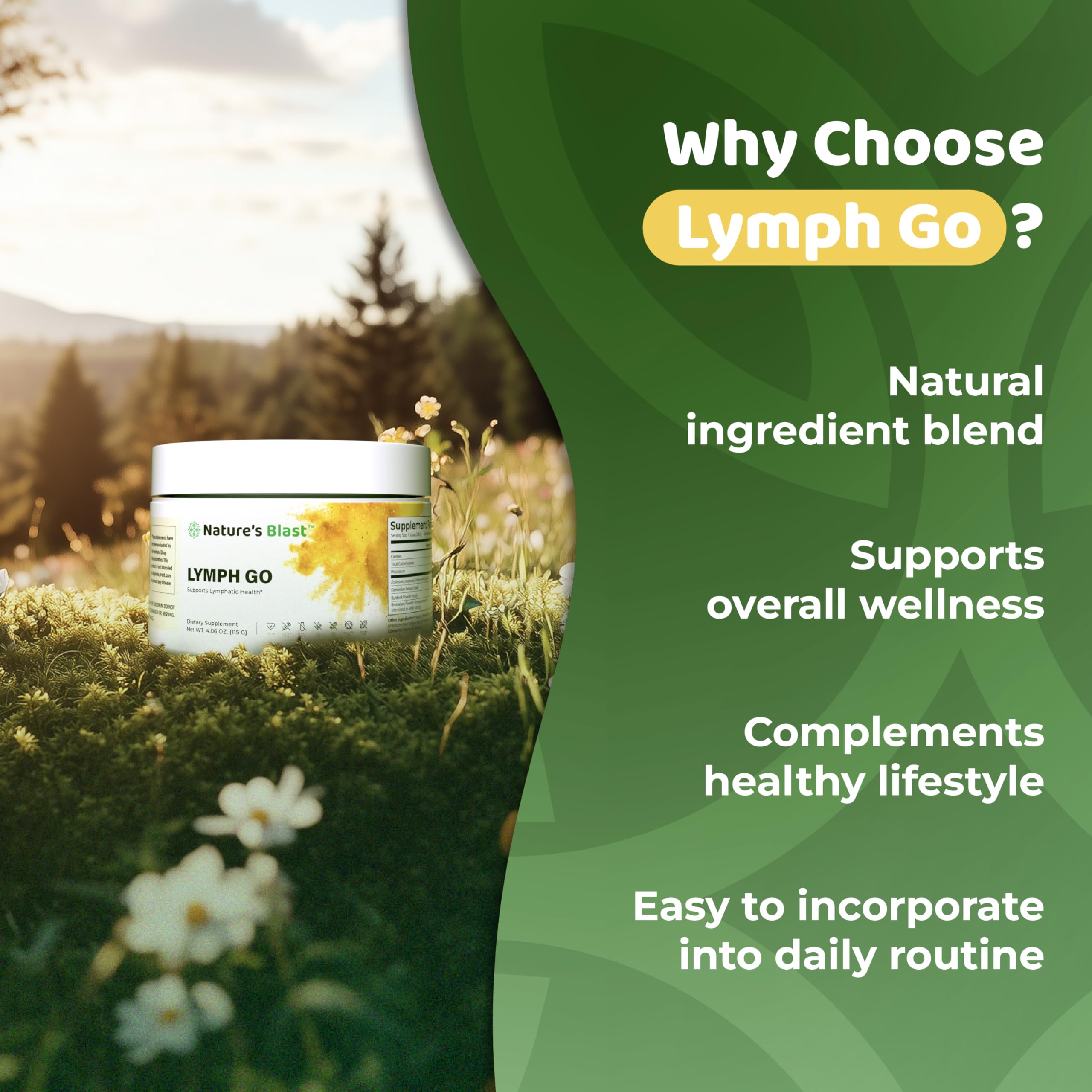 Lymph Go - Lymphatic Drainage Supplement for Women & Men - Lymph System Support - with with Bromelain, Echinacea, Burdock Root, Dandelion, Rutin, Kelp & More - 4.06 Oz - 30 Servings - Tropical Flavor NATURES BLAST buy supplements Au
