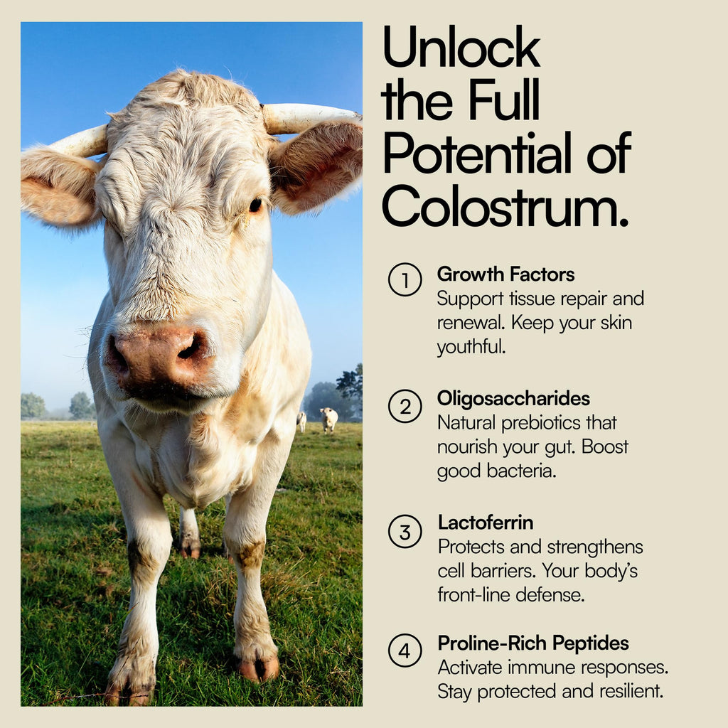 Heylo Premium Colostrum Powder – 100% Pure, Grass-Fed Bovine 40% IgG Supplement, Natural Gut Health Bloating Immunity Skin & Hair, Muscle Recovery, Rich in Immunoglobulins, 60 Servings Heylo HealthBuy Supplements Australia