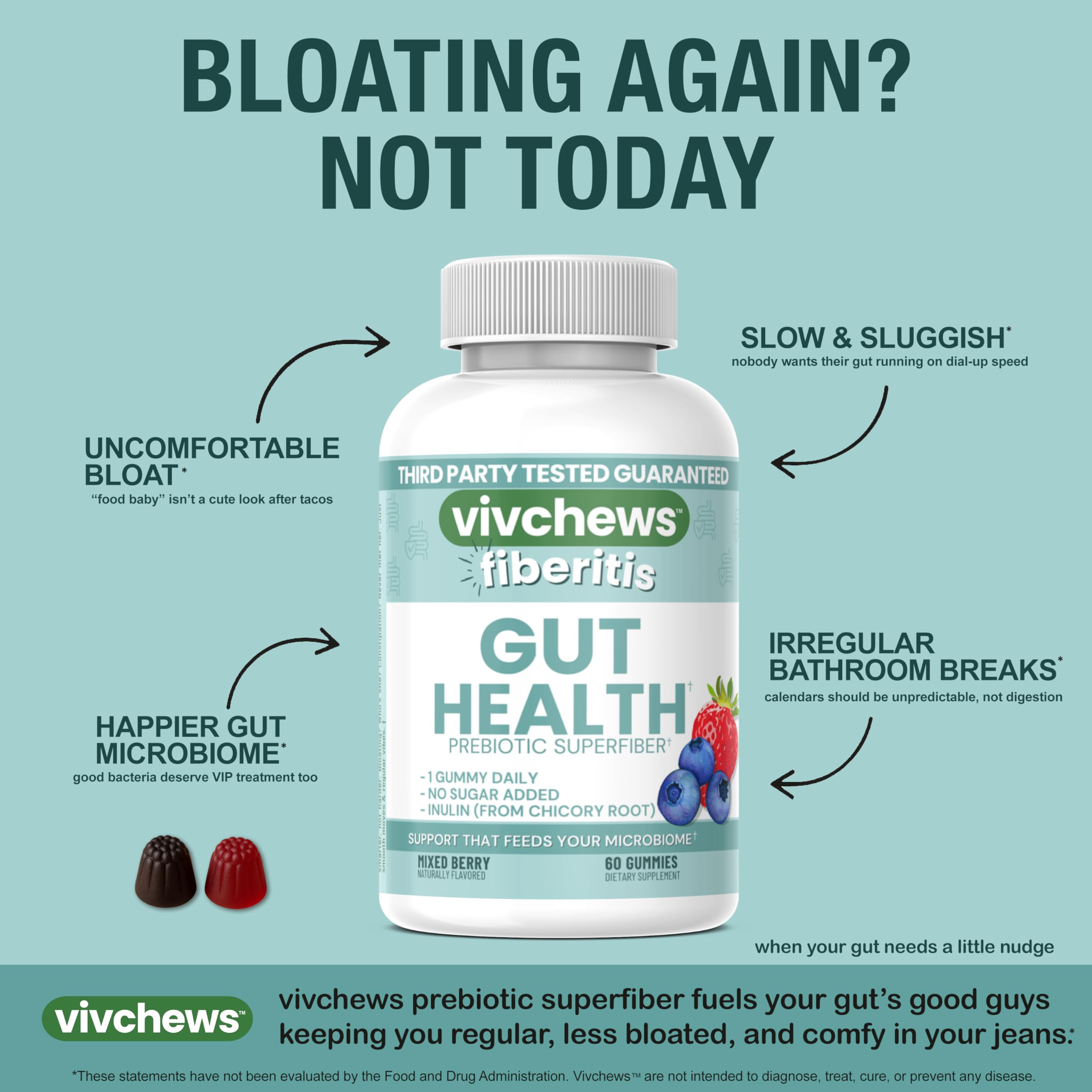 vivchews Gut Health Gummies – Prebiotic Fiber for Bloating Relief, No Sugar Added, Non-GMO, Fruit Pectin Based, Gluten-Free, No Artificial Colors,