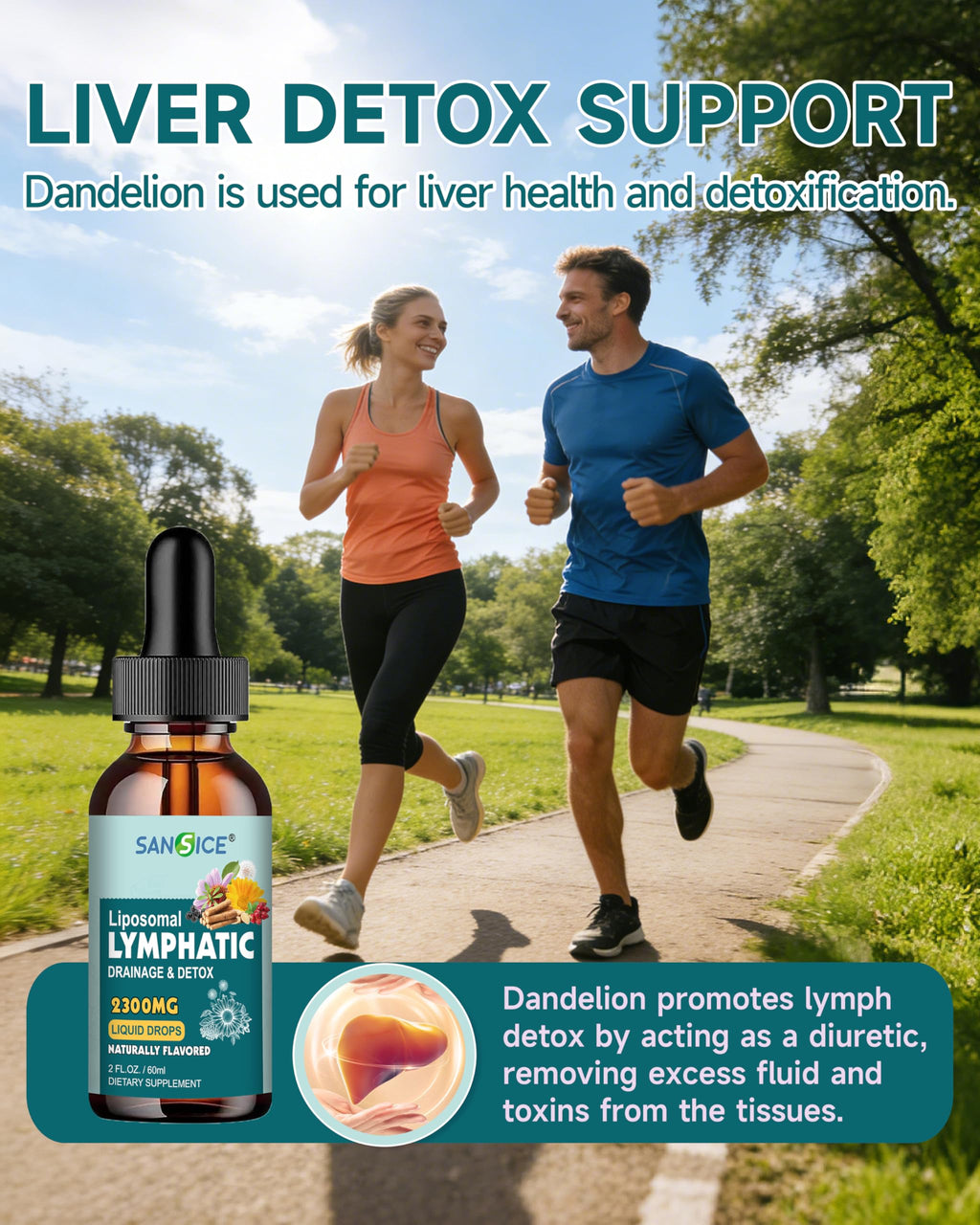 SANSICE Organic Moringa Supplement, Liquid Moringa Leaf Extract for Women & Men, Lymphatic Drainage Supplement with Echinacea for Lymph System Support SANSICE buy supplements Au