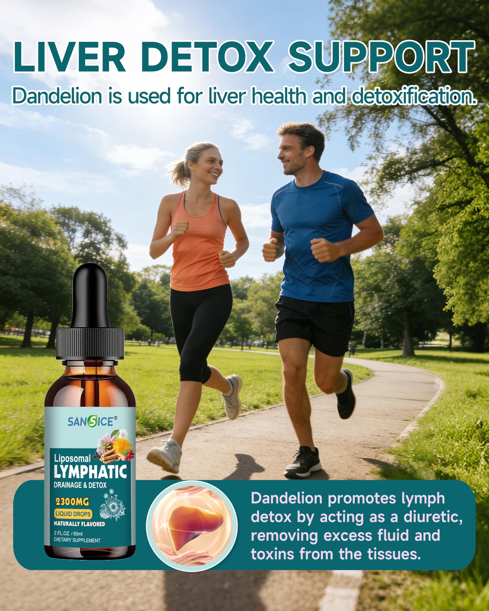 SANSICE Organic Moringa Supplement, Liquid Moringa Leaf Extract for Women & Men, Lymphatic Drainage Supplement with Echinacea for Lymph System Support SANSICE buy supplements Au