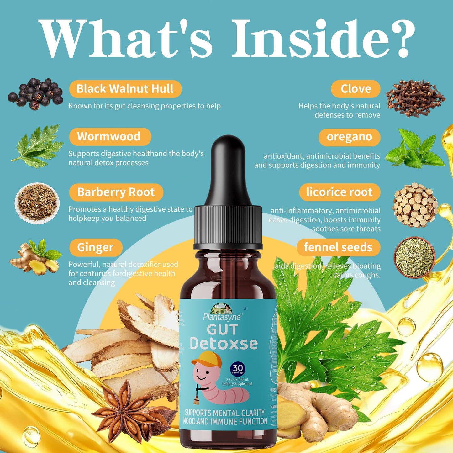 Plantasyne Herbal Gut Cleanse Drops with Black Walnut Hull & Barberry Root | Gentle Liquid Detox for Gut & Colon Support | for Adults & Kids|30 Servings Plantasyne buy supplements Au