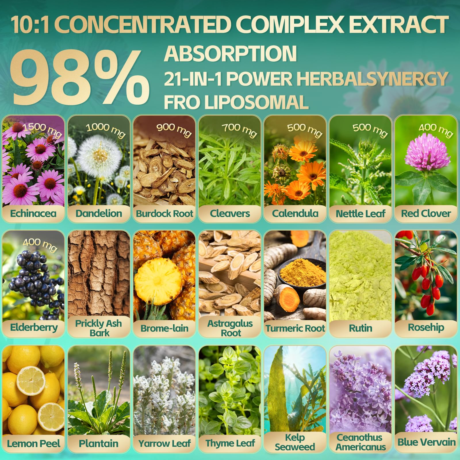 21-in-1 Liposomal Lymphatic Drainage Supplements, 100 Day Supply, 6000mg Lymph System Support for Women & Men with Echinacea, Dandelion, Burdock, Bromelain, Calendula, Turmeric & More, 300 Softgels RiseLuxun buy supplements Au
