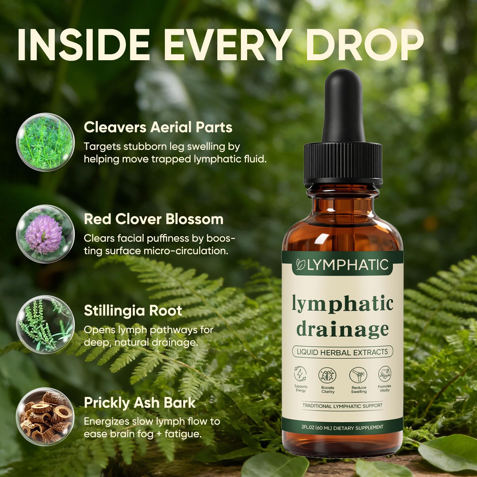 Lymphatic Drainage Drops, Lymphatic System Support, Immune System, Natural Herbal Blends, Vegan & Non-GMO (1) KXVUDE buy supplements Au