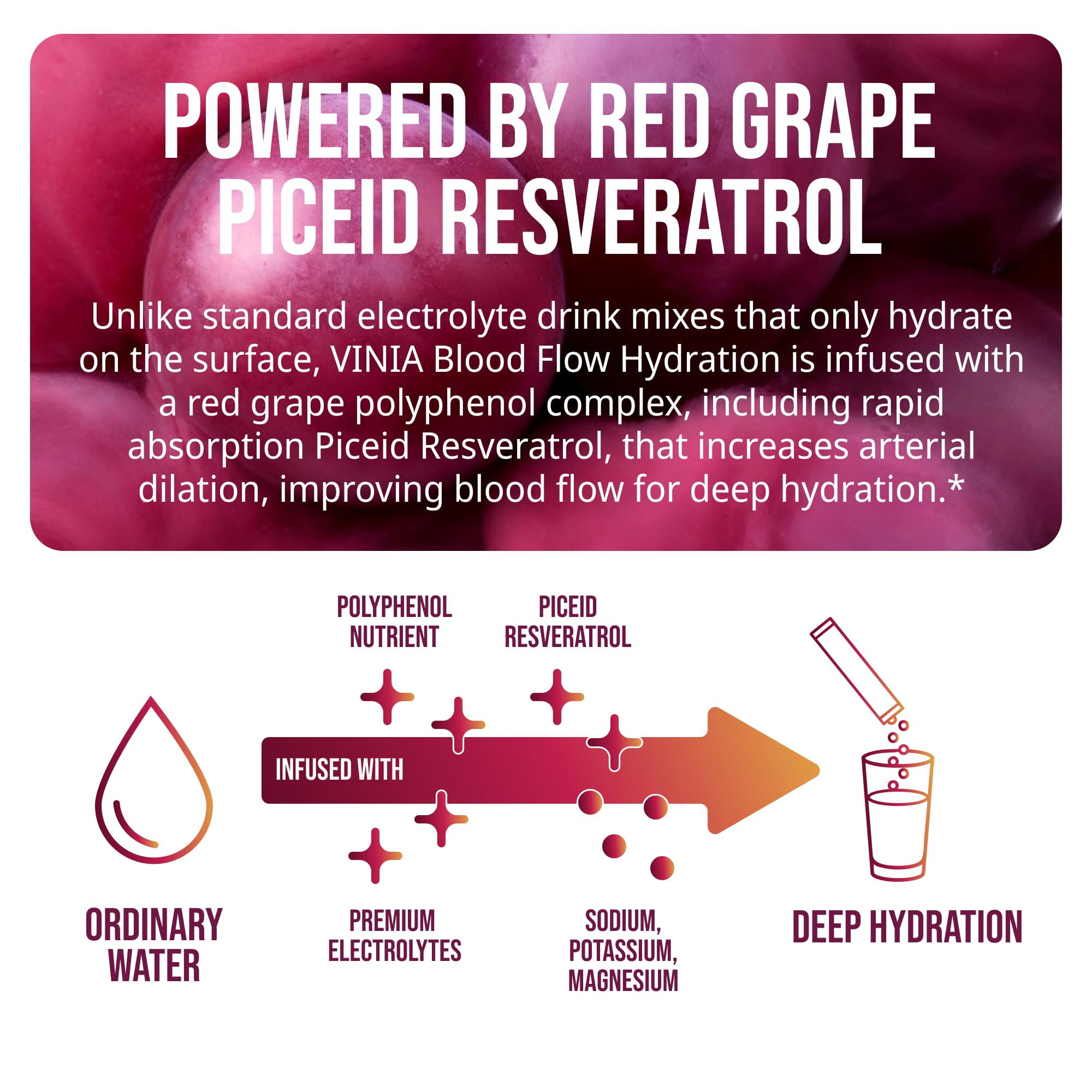 VINIA Resveratrol Electrolyte Hydration Powder Mix | Boost Blood Flow & Circulation | Sea Salt, Coconut Water Potassium, Magnesium, Informed Sport Certified VINIA buy supplements Au