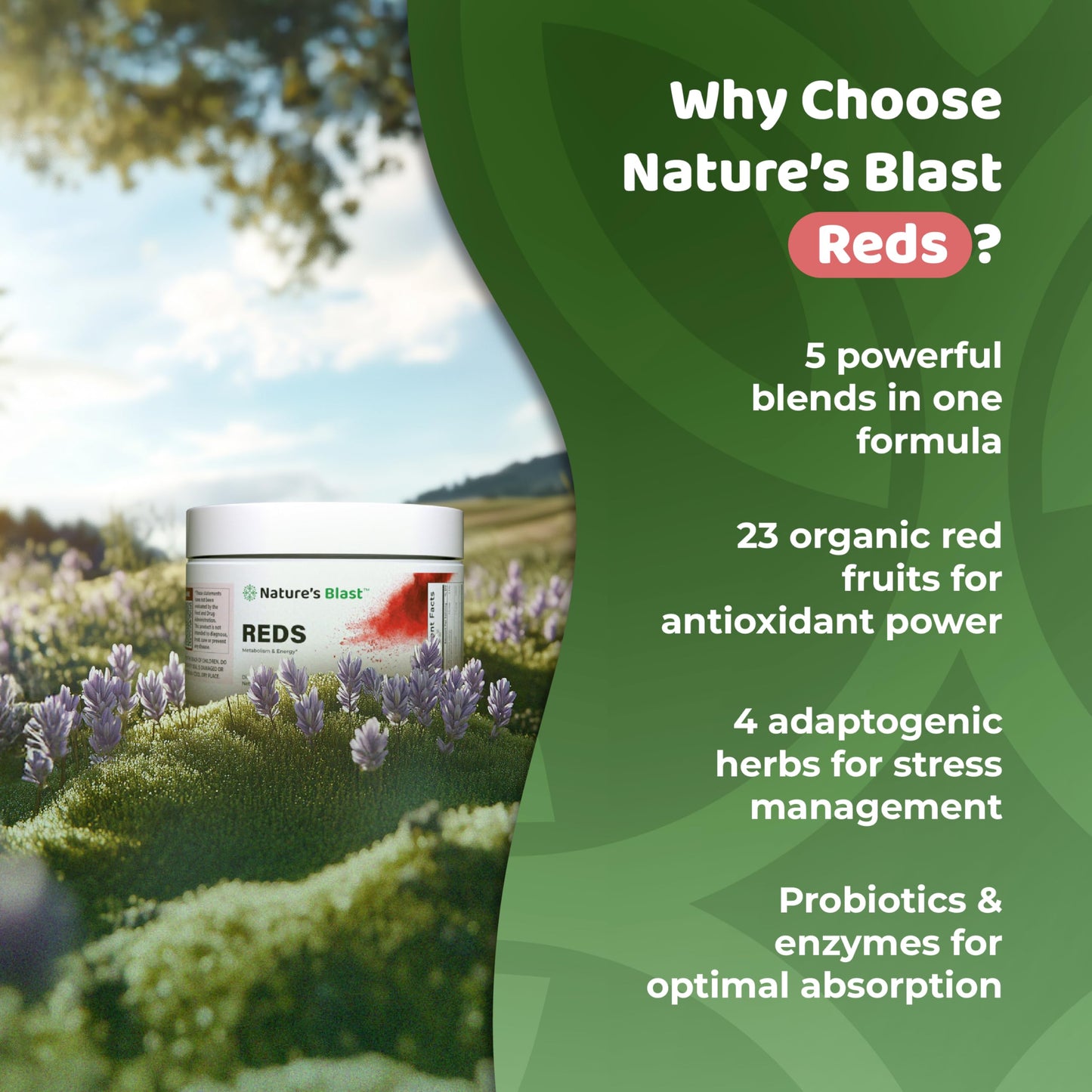 NATURES BLAST Reds - Metabolism and Energy Superfood Powder with 23 Red Fruits, 4 Adaptogens, Probiotics & Enzymes - Vegan Antioxidant Blend, 1 Bottle NATURES BLASTBuy Supplements Australia