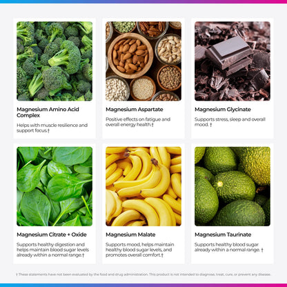 Livingood Daily Magnesium Supplement with Magnesium Glycinate, Citrate, Malate, Oxide, Aspartate, Amino Acid Complex and Chicory Root for Heart Health