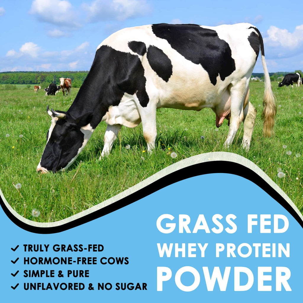 NATURE TARGET Unflavored Whey Protein Isolate - 26g Protein, 0g Sugar, Keto Friendly - No rBGH, Grass Fed - Perfect for Coffee, Baking & Smoothies - 1.10 LB (16 Servings)