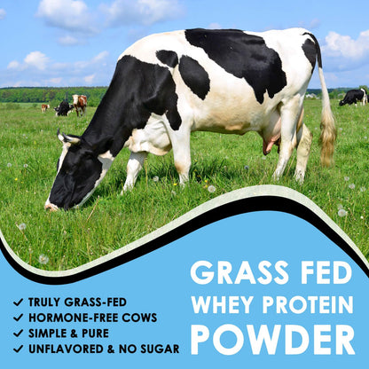 NATURE TARGET Unflavored Whey Protein Isolate - 26g Protein, 0g Sugar, Keto Friendly - No rBGH, Grass Fed - Perfect for Coffee, Baking & Smoothies - 1.10 LB (16 Servings)