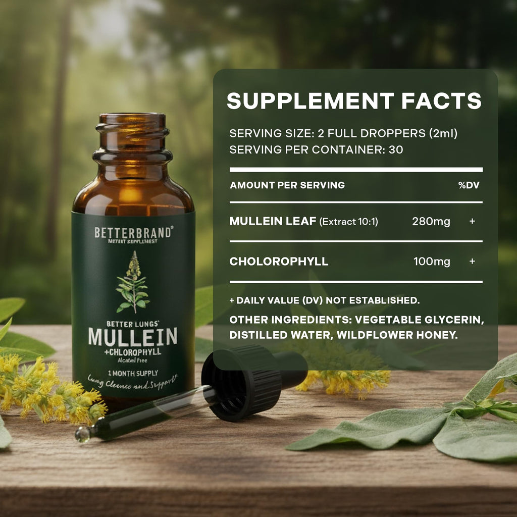 Betterbrand Mullein Drops for Lung Detox - Mullein Leaf Tincture with Chlorophyll - Helps Support Respiratory Health