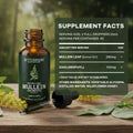Betterbrand Mullein Drops for Lung Detox - Mullein Leaf Tincture with Chlorophyll - Helps Support Respiratory Health