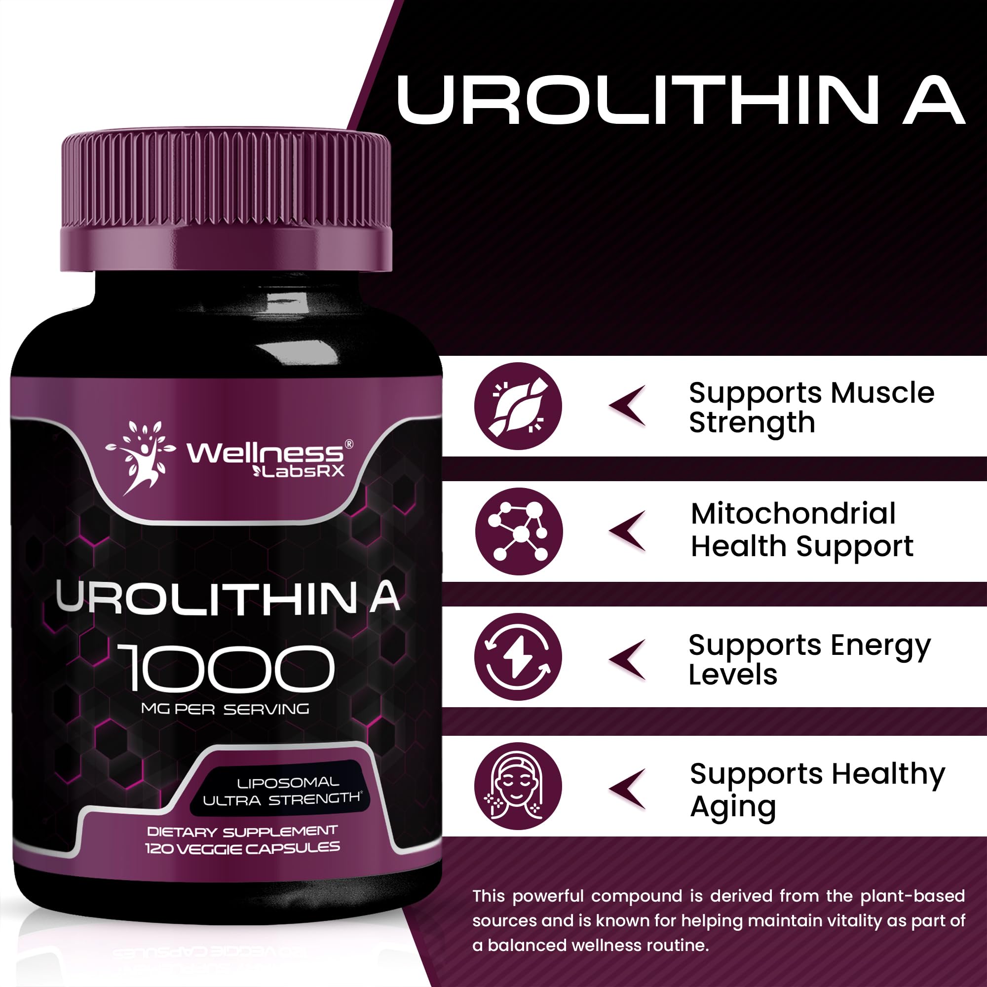 Urolithin A Supplement Capsules 1,000mg (98.9% Pure) – Advanced Urolithin A+ Formula for Cellular Renewal & Mitochondrial Support