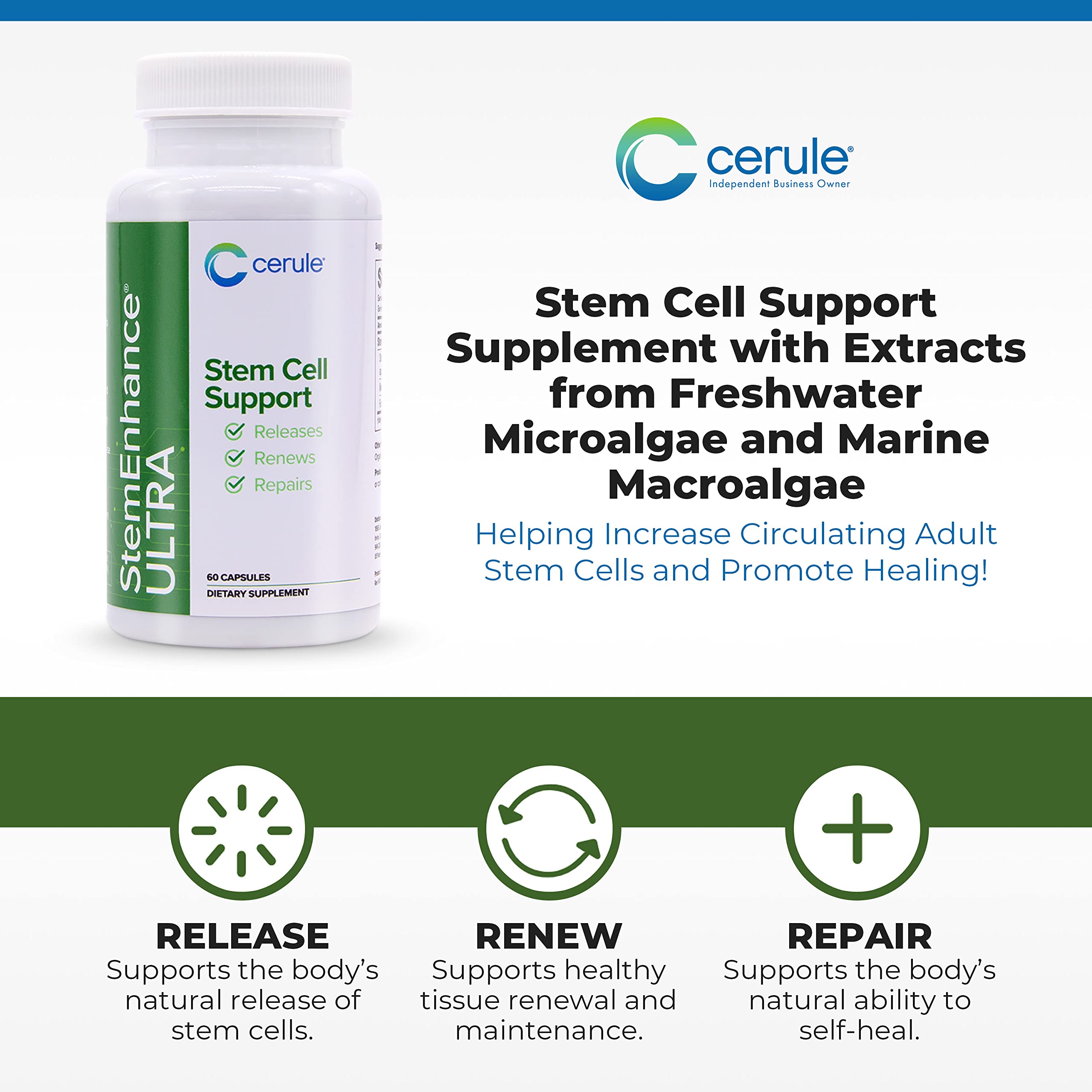 Cerule StemEnhance Ultra Natural Stem Cell Support Supplement – Freshwater Microalgae and Marine Macroalgae Extracts for Cellular Renewal, Immune Function, Energy, and Tissue Recovery – 60 Capsules CeruleBuy Supplements Australia