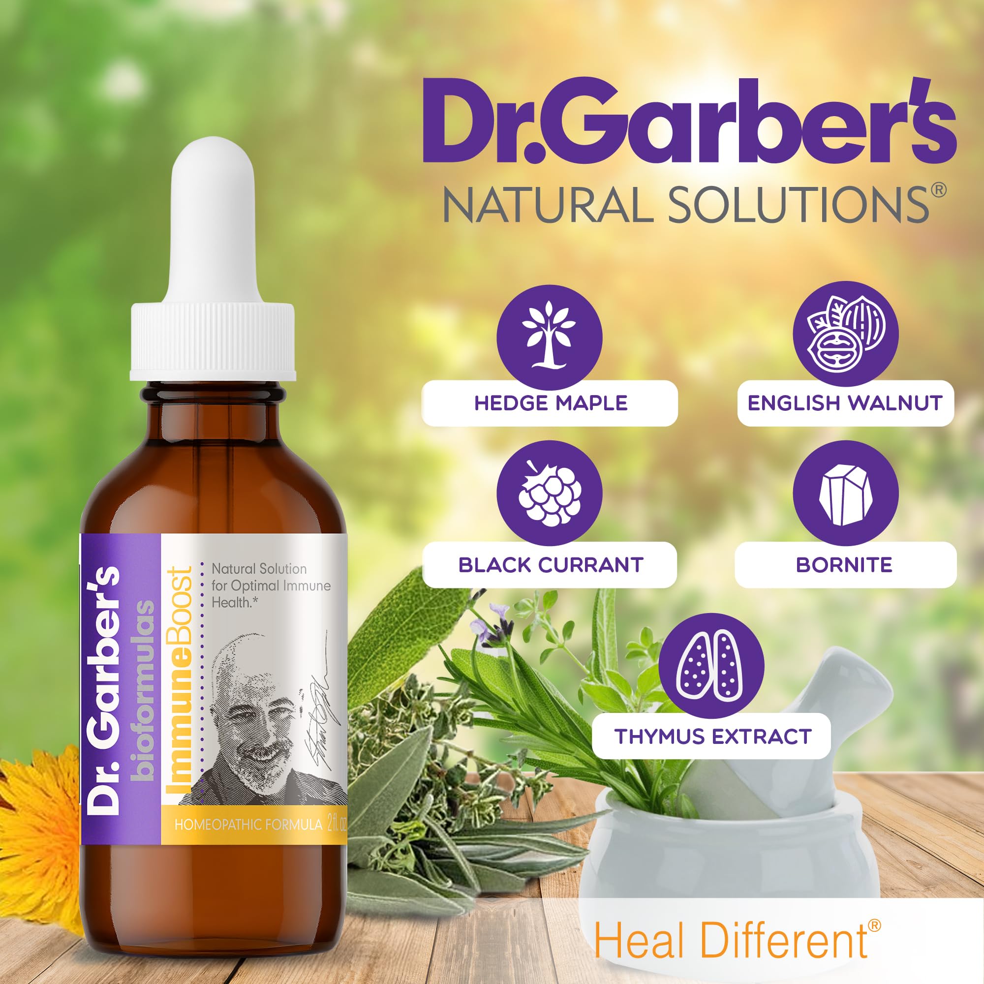 Dr. Garber's Natural Solutions Immune Boost Health Oral Drops - Gemmotherapy Liquid Supplement to Strengthen Immunity, Support Immune System, Increase Resistance, & Contains Antioxidants - 60ml DR.GARBER'S buy supplements Au