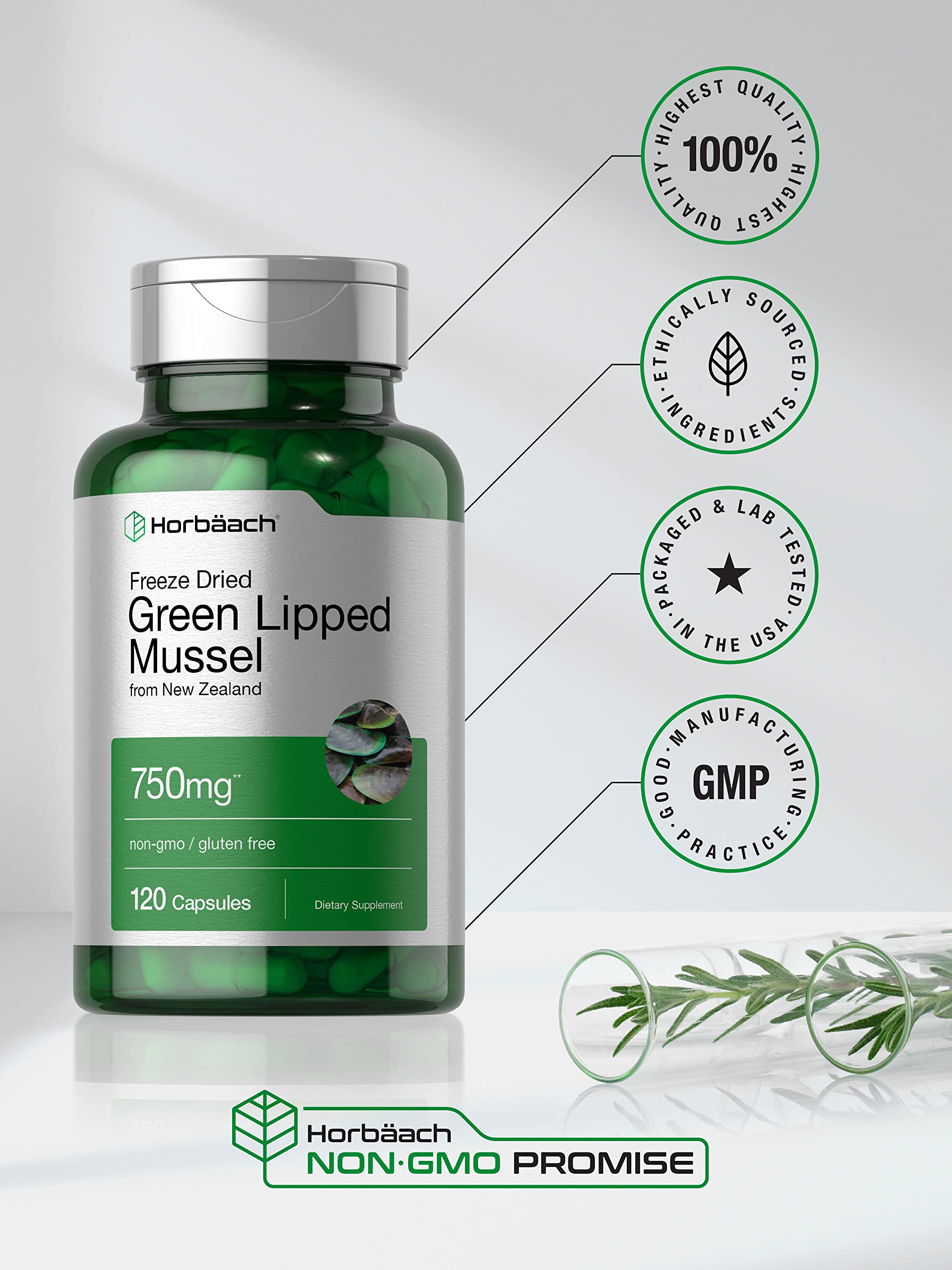 Horbäach Green Lipped Mussel |120 Capsules | from New Zealand | Premium Freeze Dried Mussel Powder