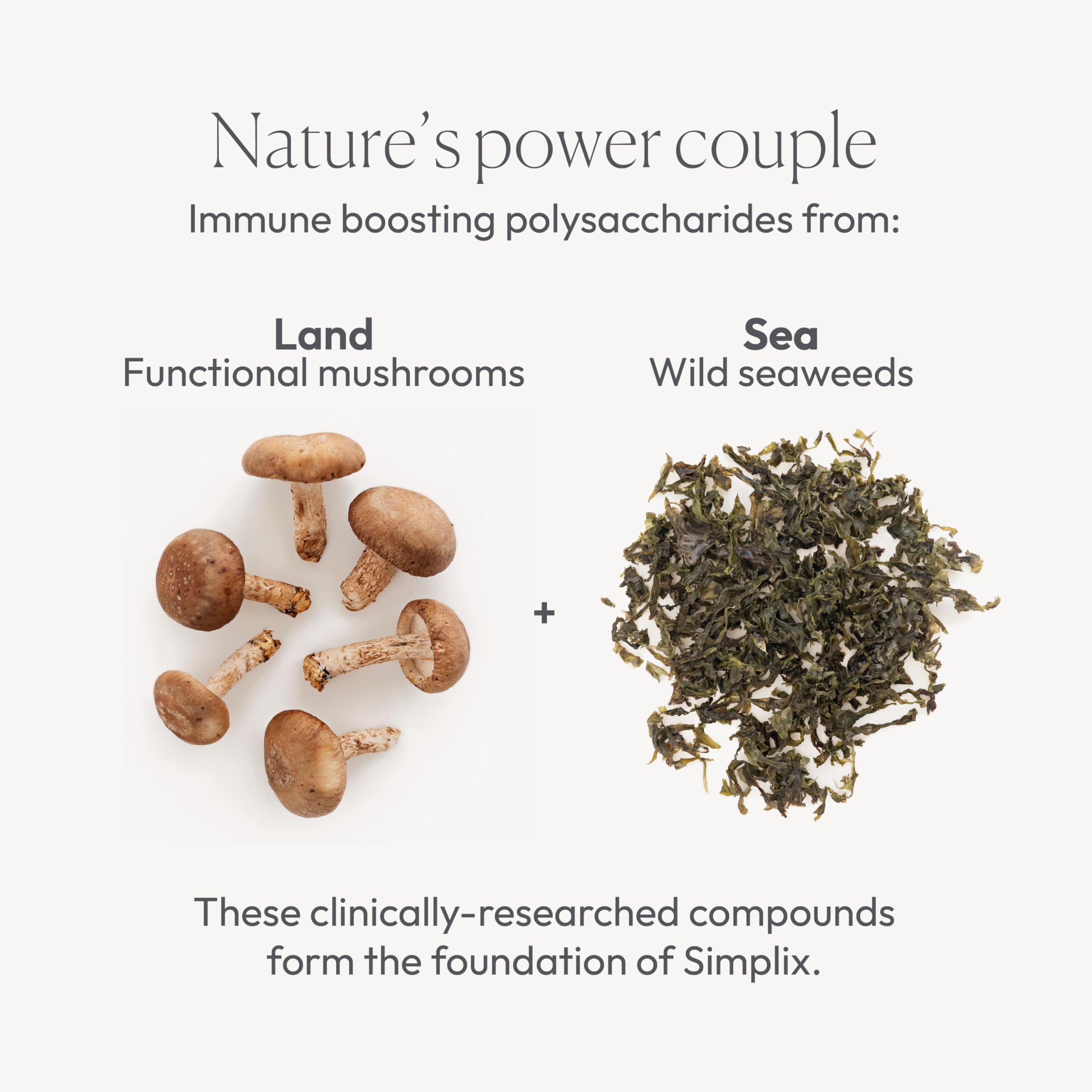Simplix | Natural Supplement to Strengthen The Immune System | Respond to Outbreaks | Source of Highly Researched Mushroom & Seaweed Polysaccharides 60 Veggie Capsules (1 Pack) Papillex buy supplements Au