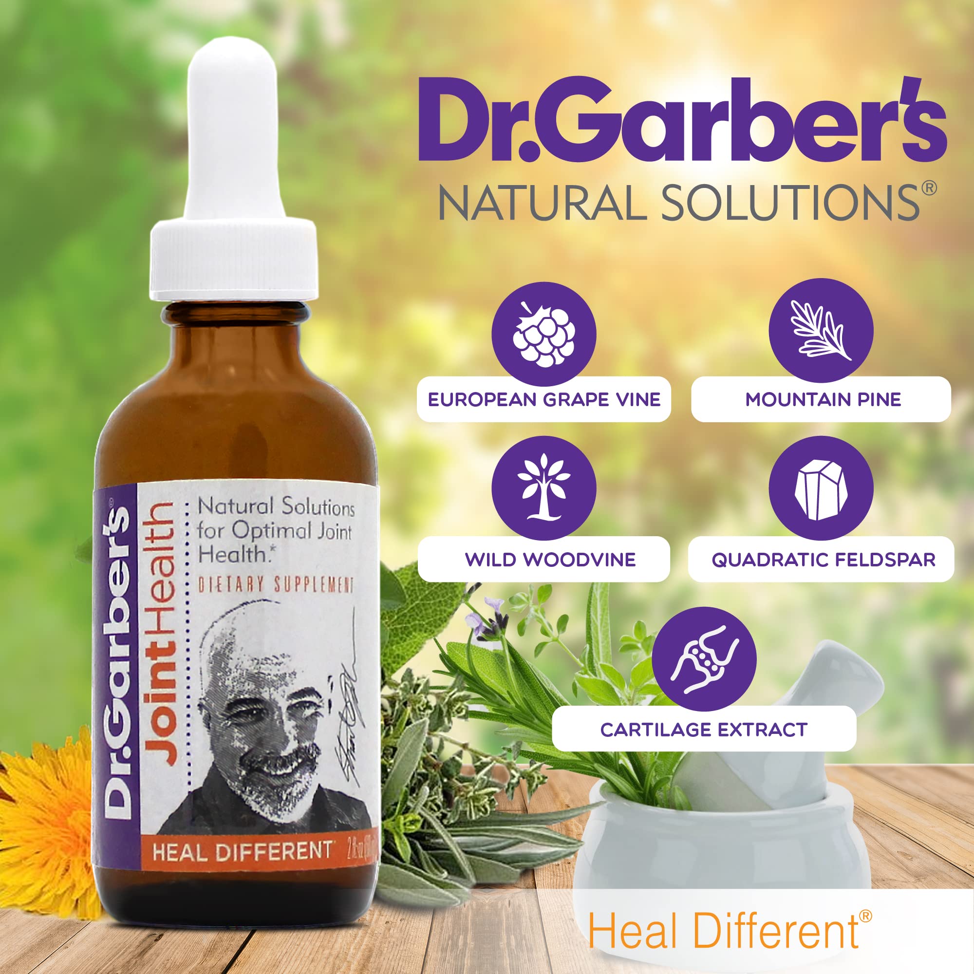 Dr. Garber's Natural Solutions Joint Health Oral Drops - Gemmotherapy Liquid Supplement for Healthy Joint Support & Function, Joint Repair, and Improved Mobility & Flexibility - 60ml DR.GARBER'SBuy Supplements Australia