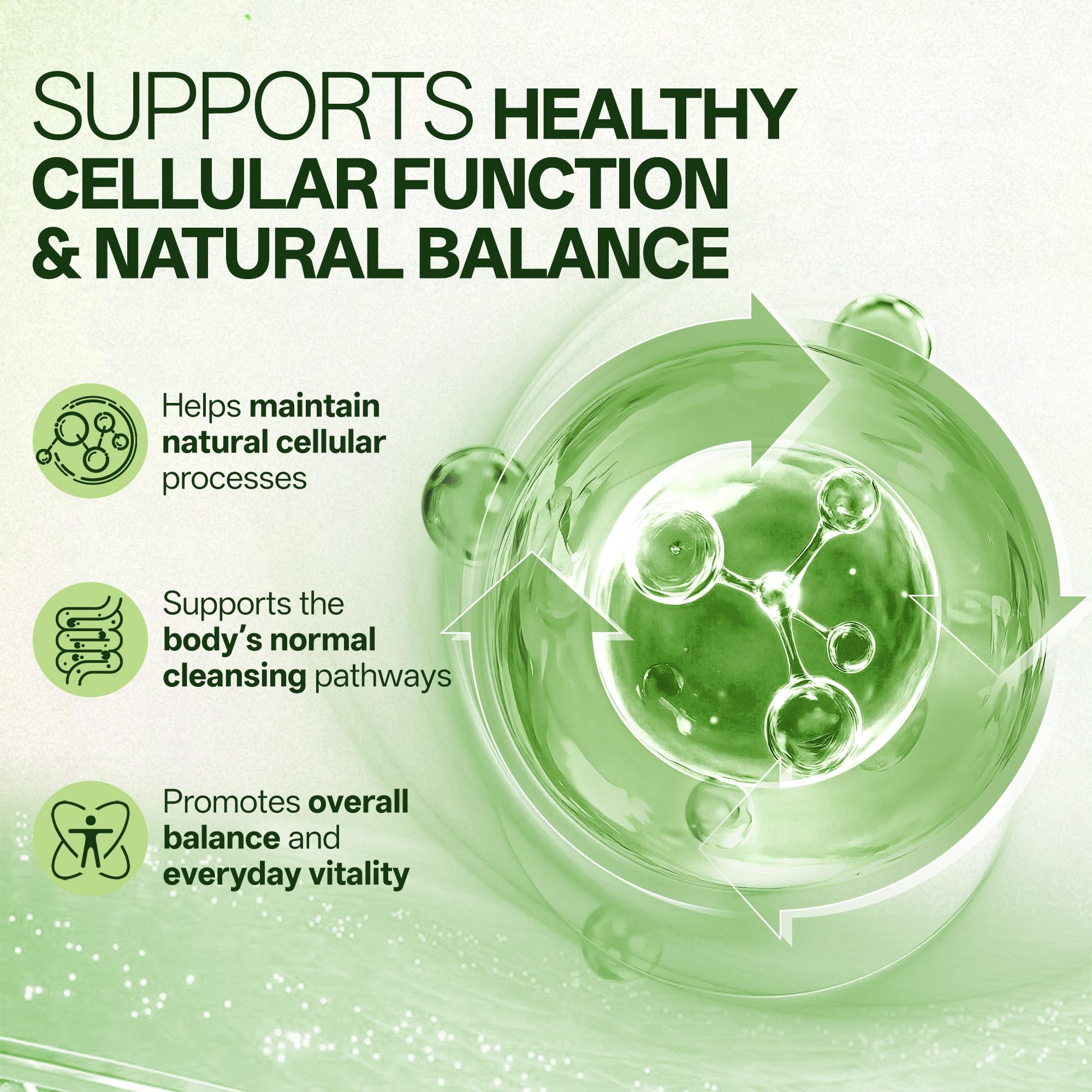 Liposomal Sulforaphane 500mg Supplement from Broccoli Extract with Quercetin, Black Pepper & Vitamin C – Antioxidant, Detox & Cellular Support, Cellular Health Formula for Men & Women, 60 Capsules inGreensBuy Supplements Australia
