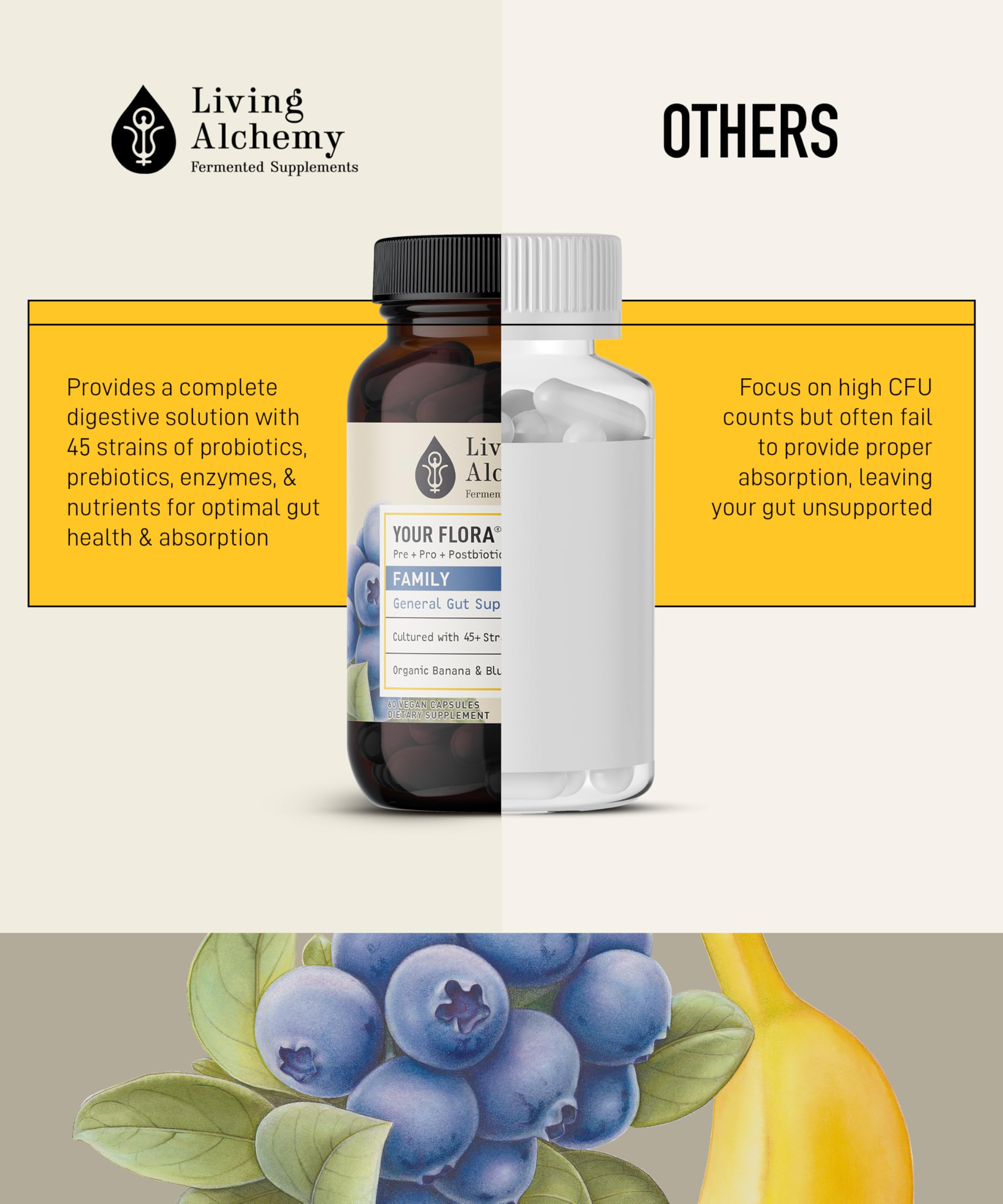 Your Flora Probiotic Family – Non-GMO Probiotics with Fermented Soybean, Banana, & Blueberry for Digestion & Gut Support – Prebiotics, Postbiotics, Digestive Enzymes – Living Alchemy, 60 Capsules Living Alchemy buy supplements Au