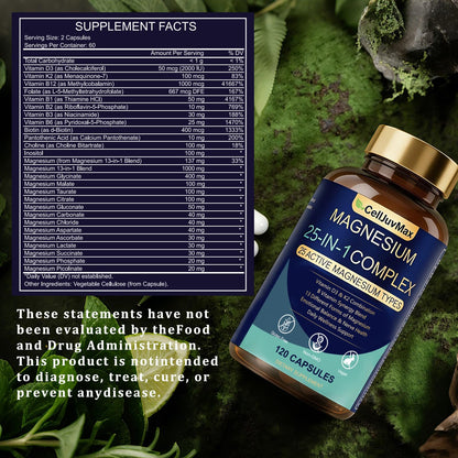25-in-1 Magnesium Complex | Multi-Form Absorbable Blend for Daily Nutritional Support, 120 Vegan Caps (1) PBZPBZ buy supplements Au
