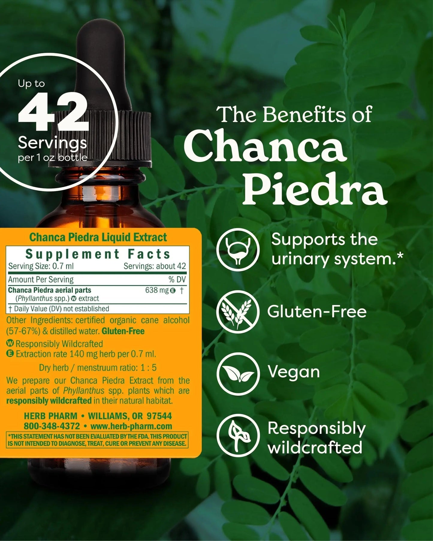 Herb Pharm Chanca Piedra Liquid Extract for Urinary System Support, 1 Fl Oz Herb PharmBuy Supplements Australia