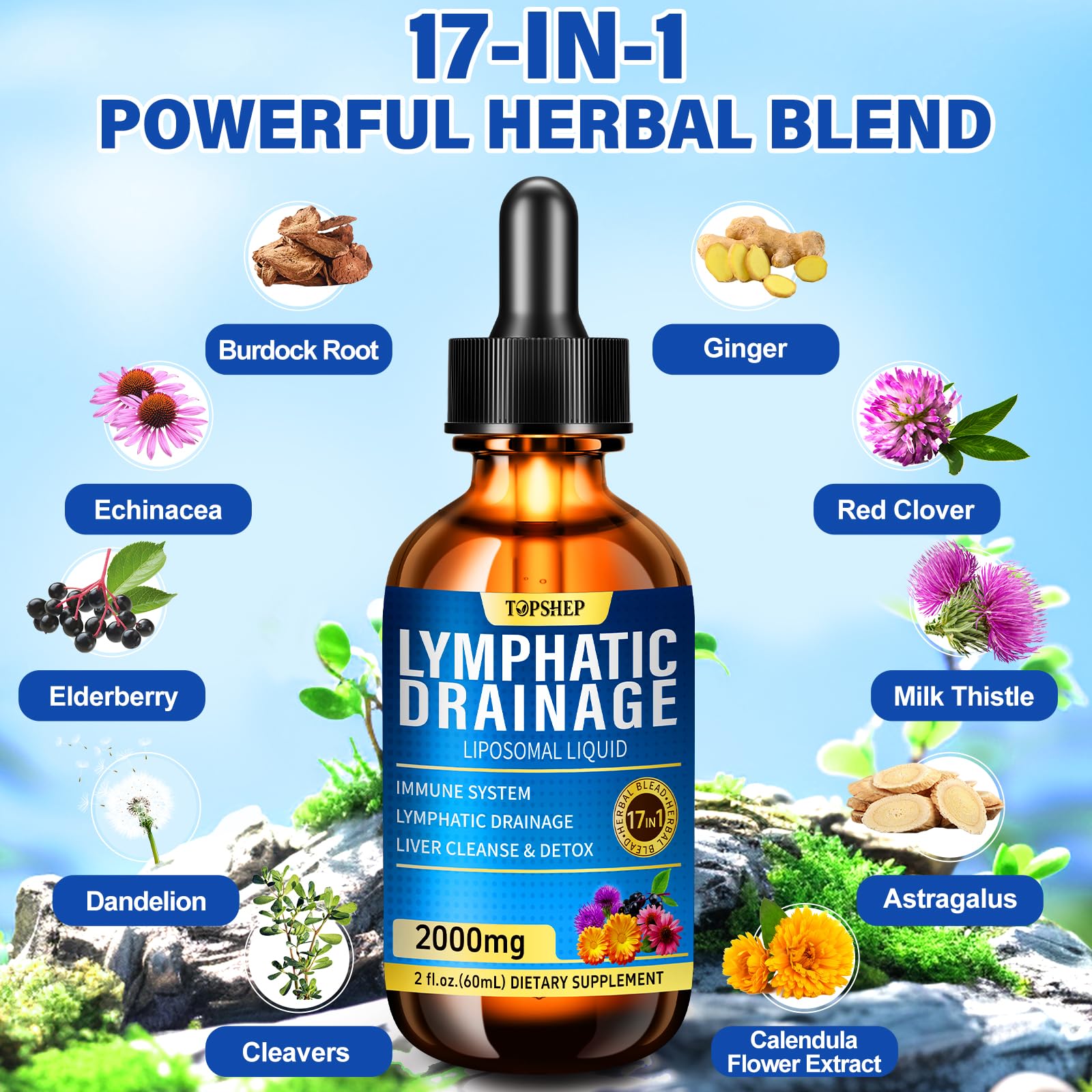 Liposomal Lymphatic Drainage Drops 2000mg - 17-in-1 Lymphatic Support & Liver Cleanse Detox with Milk Thistle, Dandelion, Elderberry, Echinacea & Full Vitamin Complex - Lymph System Support, 2 fl oz TOPSHEP buy supplements Au