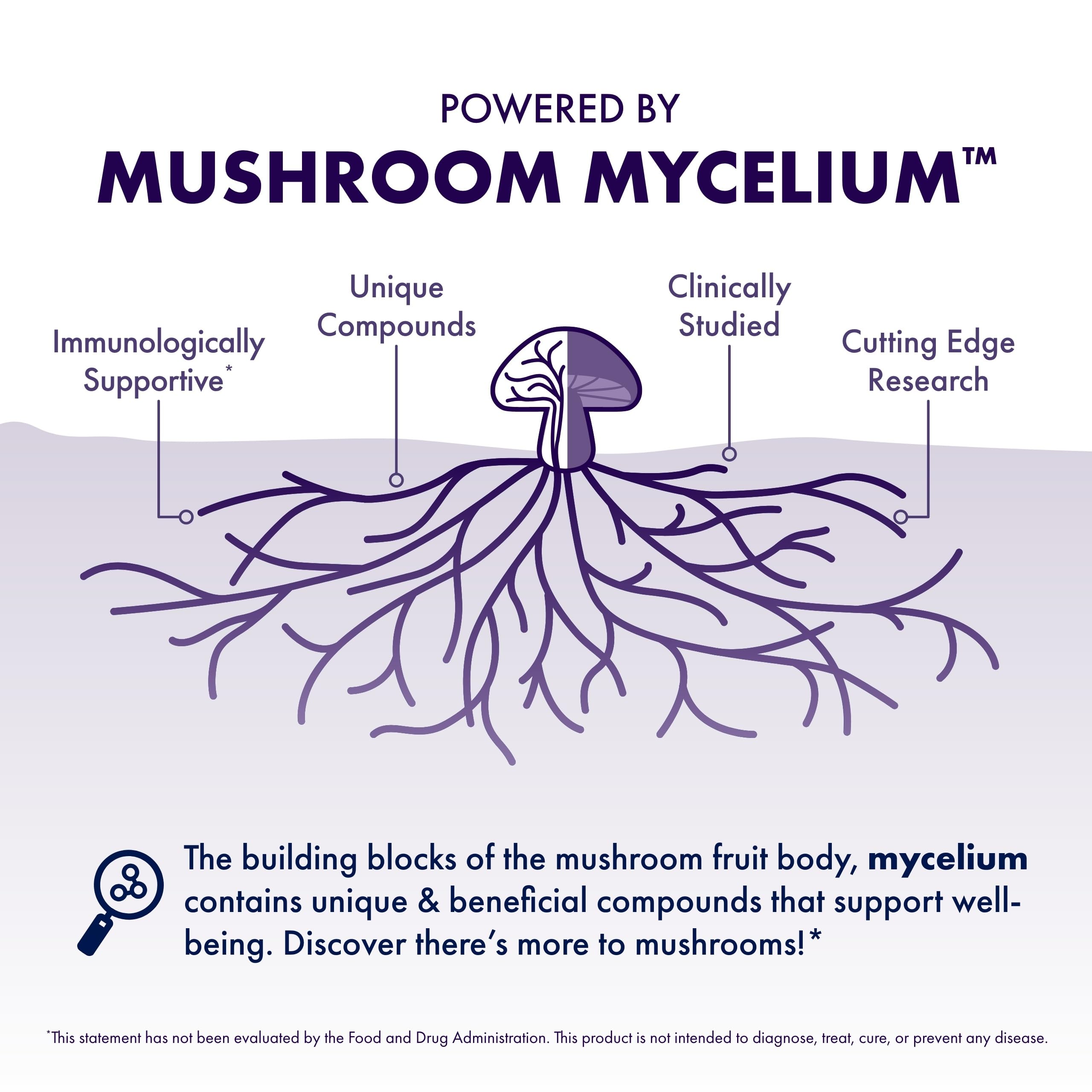 Host Defense Mushrooms Lion's Mane - Supplement Capsules for Brain Health Support - Mushroom Support for Focus & Memory Function