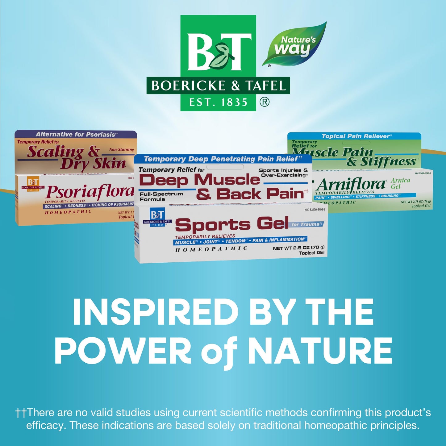 Nature's Way Boericke & Tafel Sports Gel, Relief for Deep Muscle, Joint, Tendon, & Back Pain and Inflammation, Homeopathic, 2.5 oz Nature's WayBuy Supplements Australia