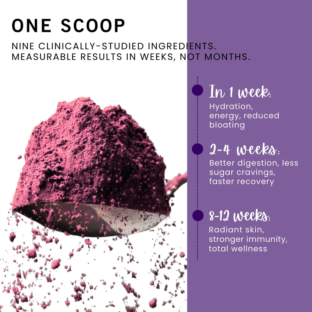 Leverage Mixed Berries Anti–Aging Supplement & Longevity Mix - Daily Wellness Multivitamin Powder with Hyaluronic Acid, L-Glycine & Magnesium for Skin, Energy, Cognitive Function & Joint–30 Servings LeverageBuy Supplements Australia