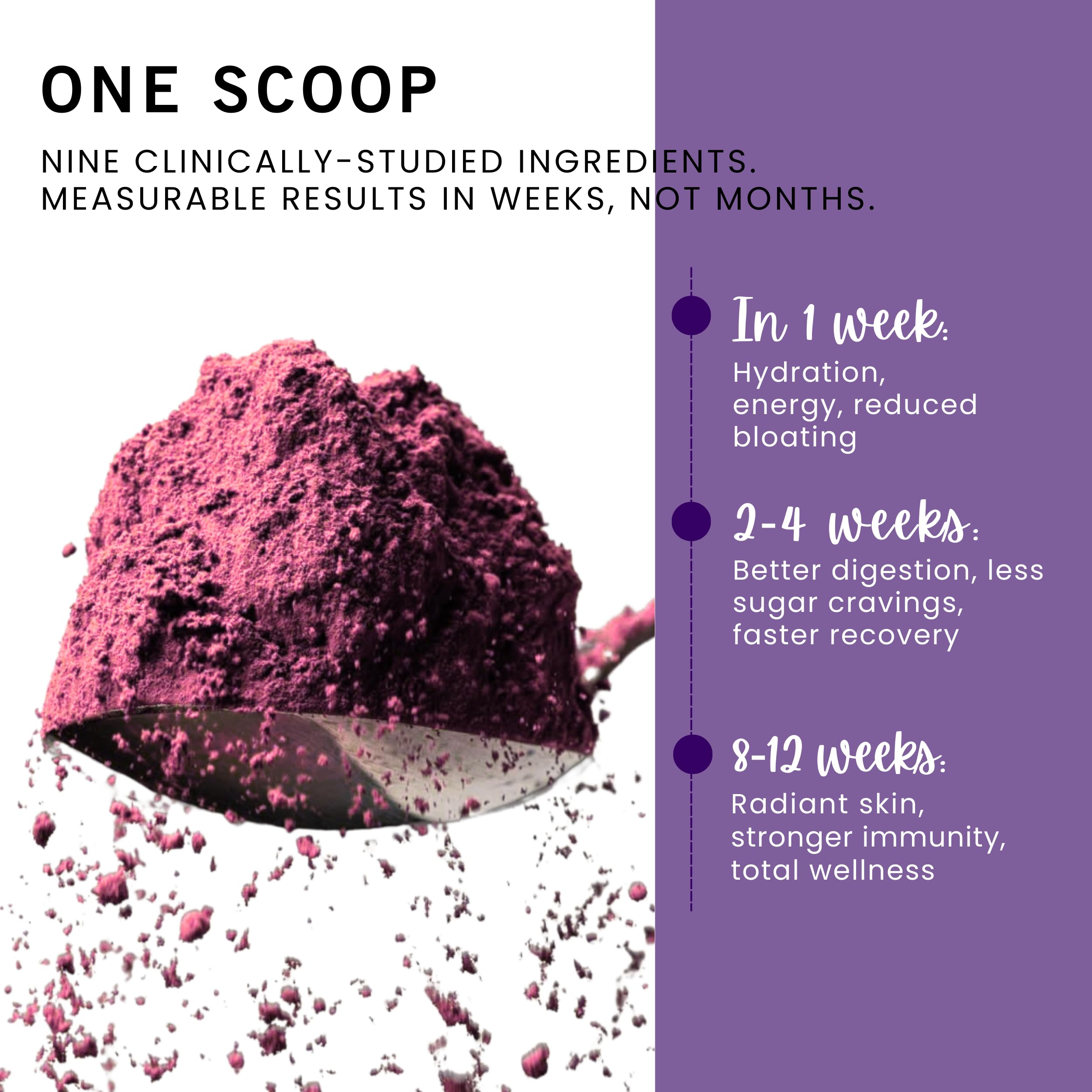 Leverage Mixed Berries Anti–Aging Supplement & Longevity Mix - Daily Wellness Multivitamin Powder with Hyaluronic Acid, L-Glycine & Magnesium for Skin, Energy, Cognitive Function & Joint–30 Servings LeverageBuy Supplements Australia