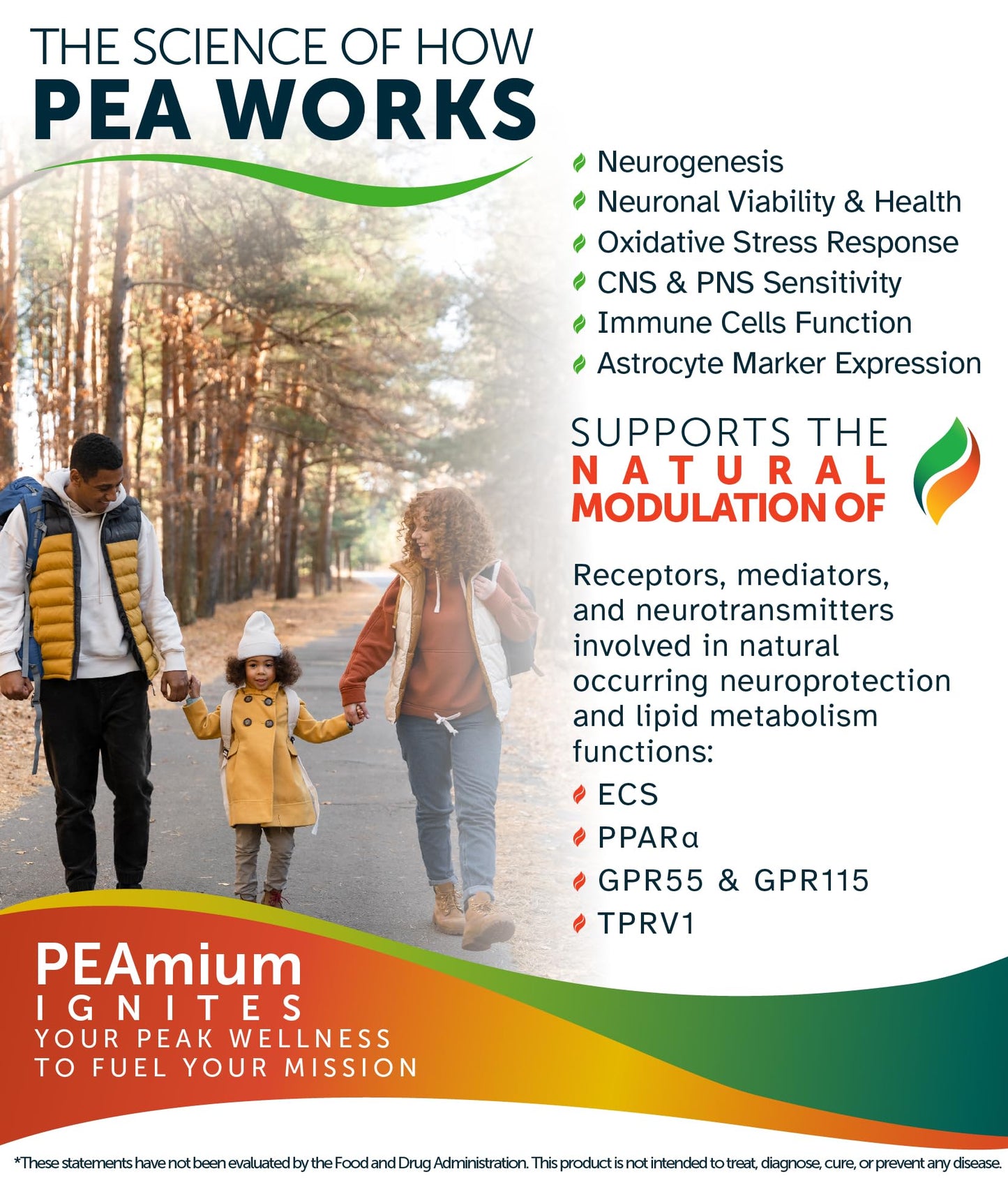Palmitoylethanolamide 450mg Comfort Mobility Nerves Cognitive & Immune Support - Micronized High Absorption - All Natural Pea - USA Made - No Additives or Excipients – 60 Vegan Capsules Supplement Awakened.energyBuy Supplements Australia