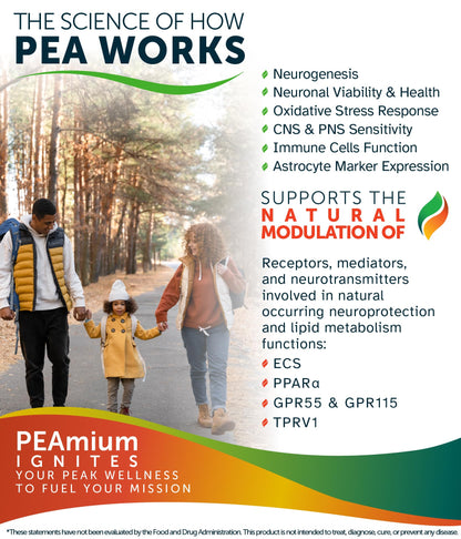 Palmitoylethanolamide 450mg Comfort Mobility Nerves Cognitive & Immune Support - Micronized High Absorption - All Natural Pea - USA Made - No Additives or Excipients – 60 Vegan Capsules Supplement Awakened.energyBuy Supplements Australia