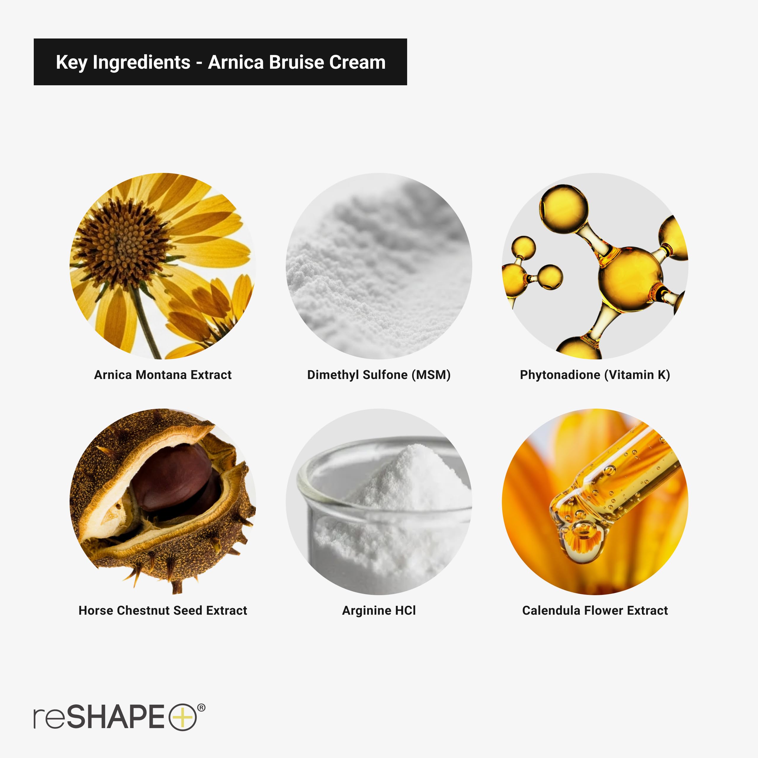 Reshape+ Arnica Bruise Relief Topical Cream For Bruising, Swelling, & Discoloration On Skin, Natural Skin Care Homeopathic Arnica Lotion W/Vitamin K, Horse Chestnut, & Collagen, 8 Fl Oz (2-Pack) Reshape+Buy Supplements Australia