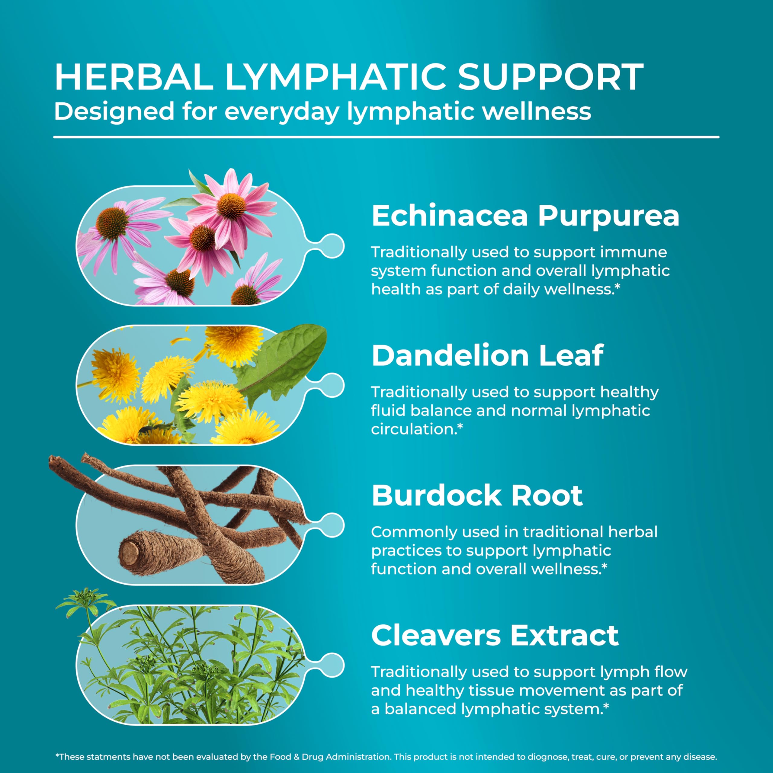 PUREHEALTH RESEARCH Lymph System Support - Lymphatic Drainage Supplement for Women & Men - Bromelain, Echinacea, Dandelion, Burdock Root, Lemon Powder, Kelp, Cleavers & More - 60 Capsules PUREHEALTH RESEARCH buy supplements Au